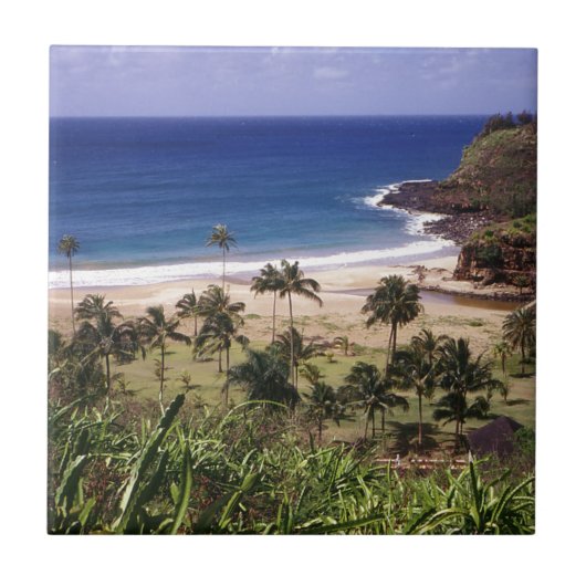 Carreau Hawaï (Devant)