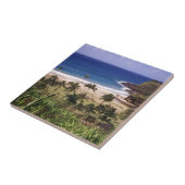 Carreau Hawaï (Côté)