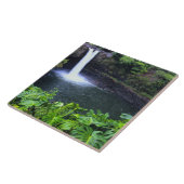 Carreau Hawaï, Big Island, Hilo, Rainbow Falls, Lush (Côté)