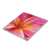 Carreau Hawaïen rose de fleur d'Hawaï de Frangipani de (Côté)