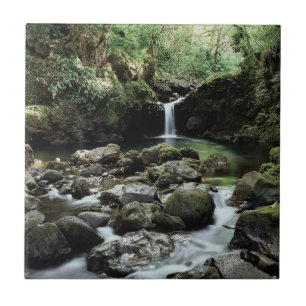 Carreau Hawaii, Maui, Une cascade se jette dans la piscine