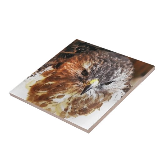 CARREAU HAWK (Côté)