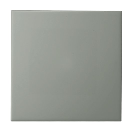 Carreau Hazy Acacia Green Square Kitchen and Bathroom (Devant)