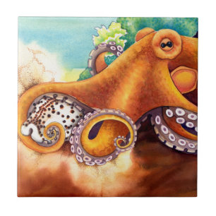 Carreau He'e et Cowry