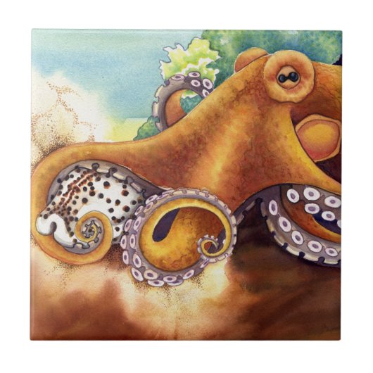 Carreau He'e et Cowry (Devant)