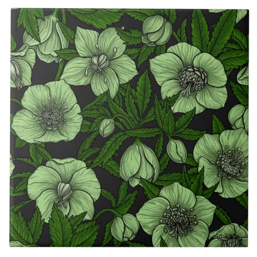 Carreau Hellebores blancs avec feuille (Devant)