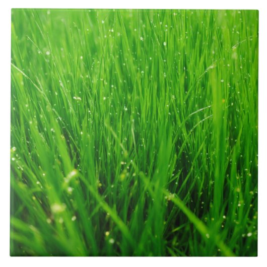 Carreau Herbe (Devant)