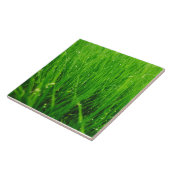 Carreau Herbe (Côté)