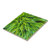 Carreau Herbe (Côté)