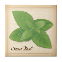 Herbe Basil douce