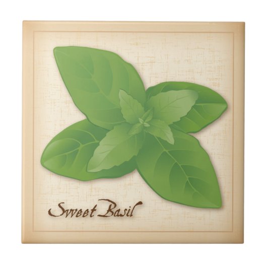 Carreau Herbe Basil douce (Devant)
