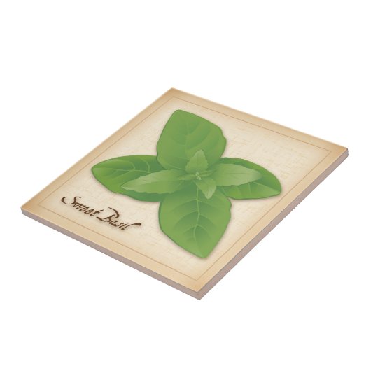 Carreau Herbe Basil douce (Côté)