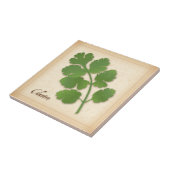 Carreau Herbe Cilantro (Côté)