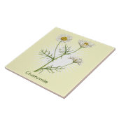 Carreau Herbe de chamomille vintage Art botanique (Côté)