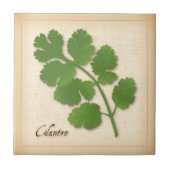 Carreau Herbe de coriandre (Devant)