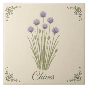 Carreau Herbe de cuisine botanique violette antique Ciboul
