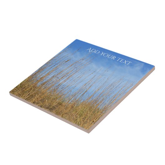 Carreau Herbe de plage par Shirley Taylor (Côté)