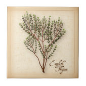 Carreau Herbe de thym anglaise (Devant)