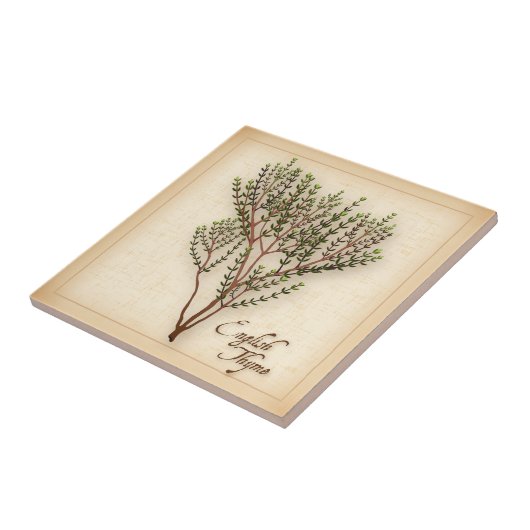 Carreau Herbe de thym anglaise (Côté)