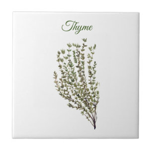 Carreau Herbe de thym vert cuisine Cuisine culinaire Plant