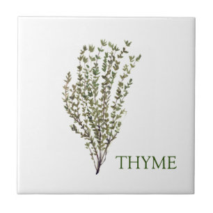 Carreau Herbe de thym vert cuisine Cuisine culinaire Plant