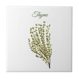 Carreau Herbe de thym Vert Cuisine Culinaire Vert Plante C