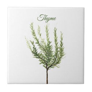Carreau Herbe de thym Vert Cuisine Culinaire Vert Plante C