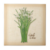 Carreau Herbe Garlic Chives (Devant)