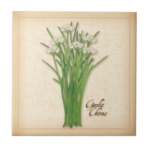 Carreau Herbe Garlic Chives