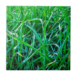 Carreau Herbe profonde