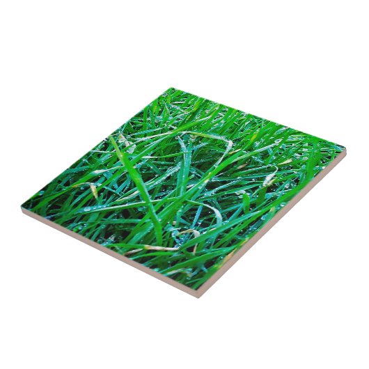 Carreau Herbe profonde (Côté)