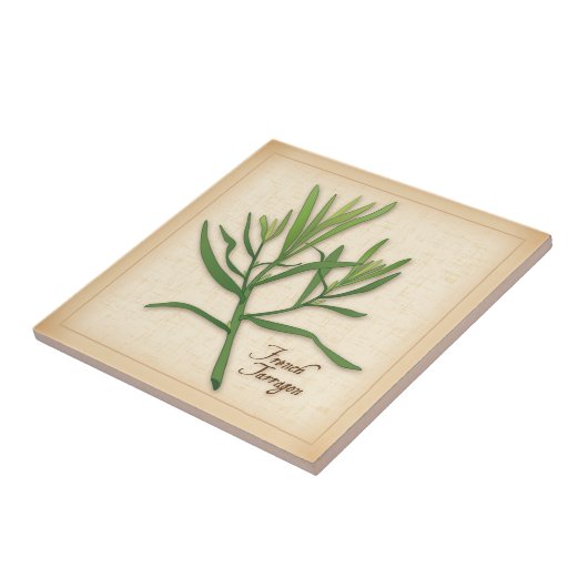 Carreau Herbe Tarragone française (Côté)