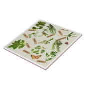 Carreau herbes (Côté)