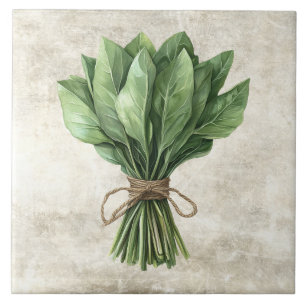 Carreau Herbes aquarelles rustiques Sauge avec motif de fi
