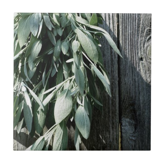 Carreau Herbes botaniques rustiques en bois de grange (Devant)
