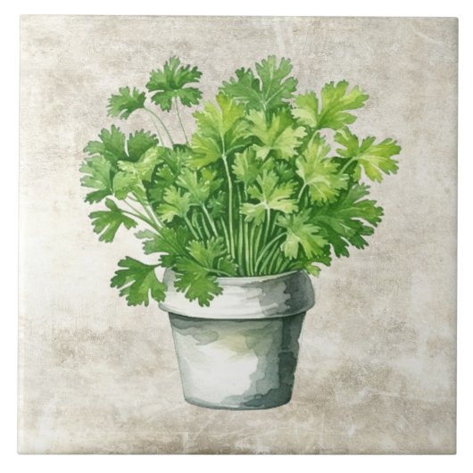 Carreau Herbes de persil rustique Aquarelles Vintages neut (Devant)