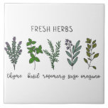 Carreau Herbes fraîches Thyme Basil Ferme<br><div class="desc">Herbes fraîches,  y compris le thym,  le basilic,  la sauge,  le romarin et l'origan sur un arrière - plan blanc simple. Un simple graphisme aquarelle a été utilisé pour fabriquer ce carrelage en céramique de la ferme.</div>