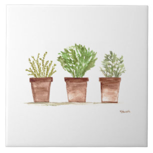 Carreau Herbes sauge romarin thym aquarelle jardin