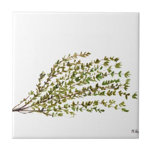Carreau Herbes thym cuisine art aquarelle peinture (Devant)