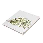 Carreau Herbes thym cuisine art aquarelle peinture (Côté)