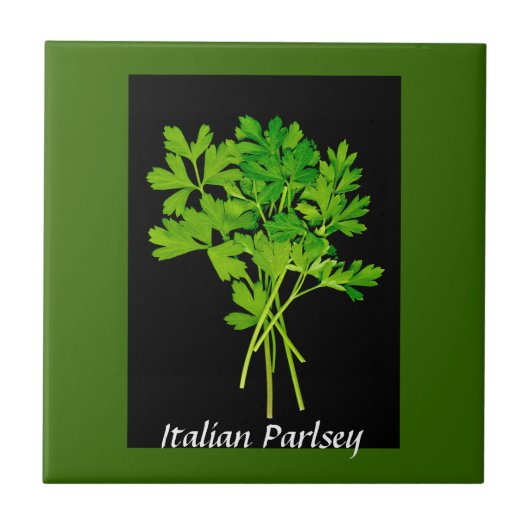 Carreau herbes - tuile de persil (Devant)