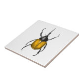 Carreau Hercules beetle (Côté)