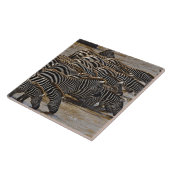 Carreau Herd of Burchell's Zebras boire de Mara (Côté)