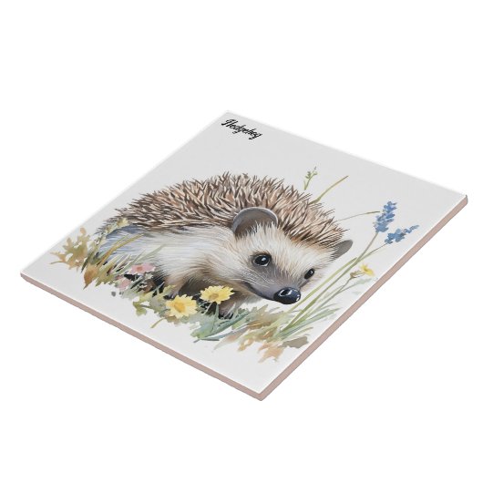 Carreau Hérisson (Côté)