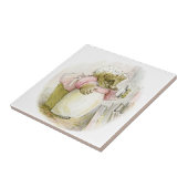 Carreau Hérisson avec Mme Tiggy-Bigorneau de fer (Côté)