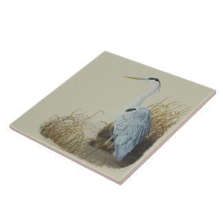 Carreau Heron Au Carrelage Marsh Edge