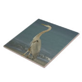 Carreau Héron de grand bleu (herodias d'Ardea) se tenant (Côté)