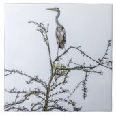 Carreau Héron sur une tuile en céramique vue arbre (Devant)