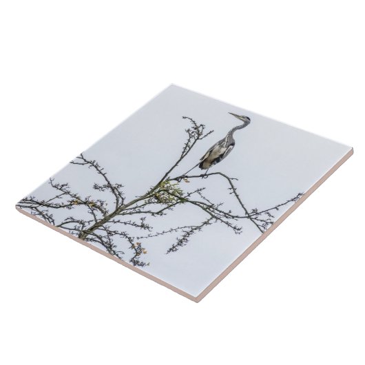 Carreau Héron sur une tuile en céramique vue arbre (Côté)