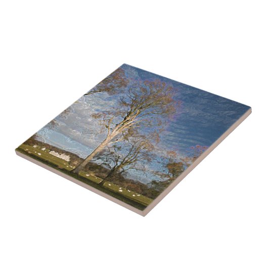 Carreau Hêtre irlandais (Côté)